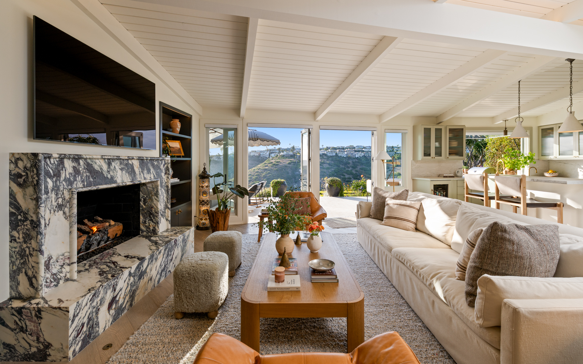Living Room · Fireside & View